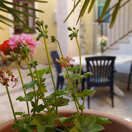 Apartment Nana 1 Šibenik Dış mekan fotoğraf