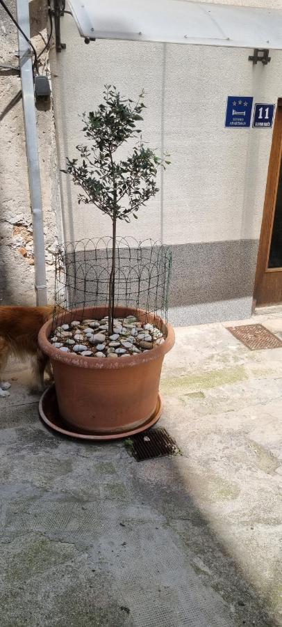 Apartment Nana 1 Šibenik Dış mekan fotoğraf